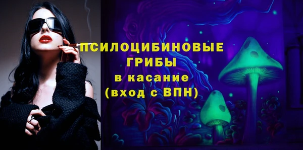 винт Каменка