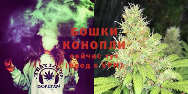 винт Каменка