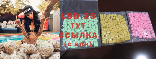 ПСИЛОЦИБИНОВЫЕ ГРИБЫ Инта