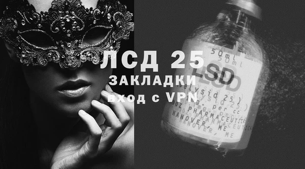 ПСИЛОЦИБИНОВЫЕ ГРИБЫ Инта