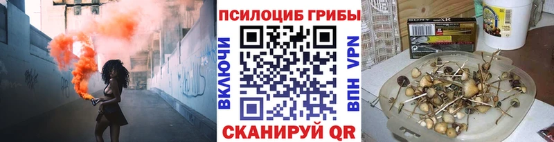 blacksprut tor  Магас  Галлюциногенные грибы мицелий 